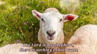 Psalm 23 - The Lord is my shepherd (Response v. 1) ~ sung by Winnie fJ