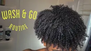 Quick Wash & Go Routine For Natural Curly Hair (Men/Women)