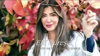 Elif Güreşçi ~ Ne demiştin niçin caydın sözünden