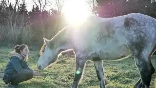Qui suis-je ? &bull; L'&eacute;quitation au service des chevaux avec Camille Tao