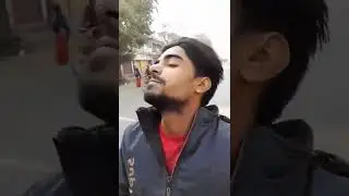 koan hai
