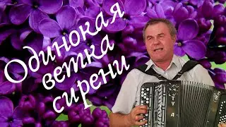 Одинокая ветка сирени (Плыл по городу запах сирени). Исполняет Иван Шелтыганов.
