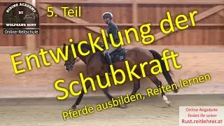 F121 Pferde ausbilden: Entwicklung der Schubkraft der Pferde beim Reiten. Richtig reiten lernen