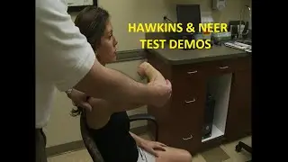 Shoulder Evaluation: Hawkin's & Neer Test Demo.