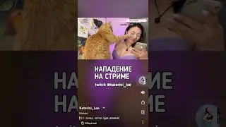 #twitch #нарезки #стрим #стример #twitchclips #streamer #twitchpartner