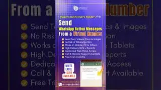 Send Bulk WhatsApp Button Message with Virtual Number | WhatsApp Web Panel | WhatsApp API Tutorial