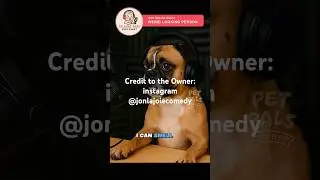 The Talking Baby Podcast ft. Doggo: Real Confessions 🐶🍼😂