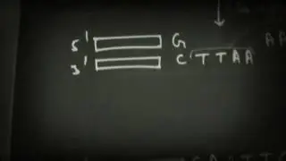 Restriction enzymes (types and ends produces by them)