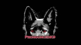 Can an IPO dog be a protection dog?