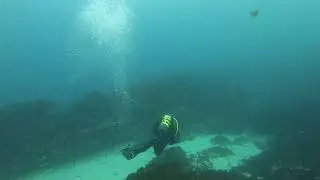 Submarinismo en Tarifa