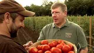 Fresh Local Produce 15sec TV Spot