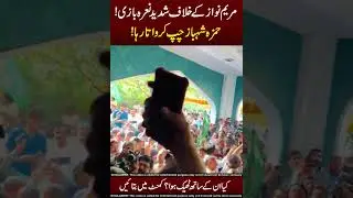 Maryam Nawaz vs Hamza Shabaz😂👻Ya Chz #maryamnawaz #cmpunjabmaryamnawazsharif #pmln