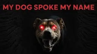 If Your Dog Speaks, Don&rsquo;t Answer : Analog Horror