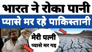 भारत ने रोका पानी प्यासे मर रहे पाकिस्तानी l WATER WAR BETWEEN INDIA & PAK I PAKISTAN PUBLIC REACTIO