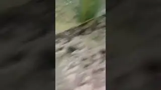 Hailstorm in Midrand Johannesburg, South Africa - November 13, 2023