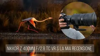 NIKKOR Z 400mm f/2.8 TC VR S LA MIA RECENSIONE