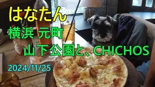 横浜 山下公園と、元町のCHICHOS(イタリアン)