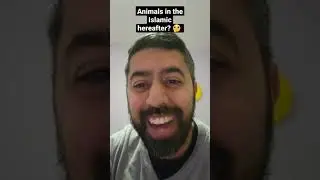 Animals in the Islamic hereafter? 🤔