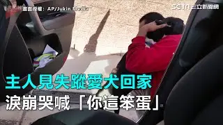 主人見失蹤愛犬回家 淚崩哭喊「你這笨蛋」｜三立新聞網SETN.com