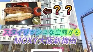 モクシー 大阪新梅田　ポイントで実質タダで泊まった　そしてこのウナギは何？？　　MOXY OSAKA SHIN UMEDA in osaka