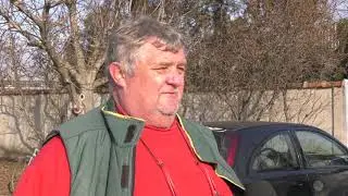 U akciji veterinarske inspekcije od Zrenjaninca oduzeto 600 kg svinjskog mesa