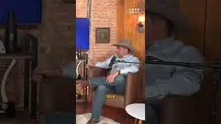 O CUSTO DE PRODUZIR GEN&Eacute;TICA #nelore #nelorepo #fazenda #zebu