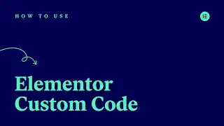 How to Use Elementor&rsquo;s Custom Code Feature [PRO]