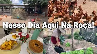 E NESSA SIMPLICIDADE QUE SAI MERENDA BOA:UM DIA AQUI NA RO&Ccedil;A CUIDANDO DAS GALINHA 🐓 HORTA E  🏡