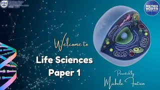 Metro North Final Push 2022 - Life Sciences Paper 1