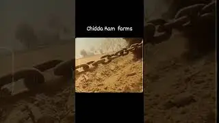Chidda Ram Farms // Kherki Majra (Gurugram) #farmer #nofarmernofood #viralshorts #life