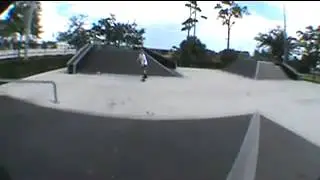 Throwaway-Case Howell Parktage