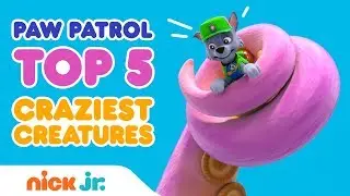 Top Five Countdown of Crazy Creatures in PAW Patrol&rsquo;s Adventure Bay | PAW Patrol | Nick Jr.
