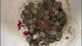 Metal detecting in Thorhild