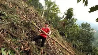 Công Việc 