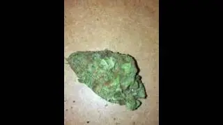 Mango Kush - Quick Peek & Review