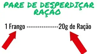 USE essa TÉCNICA para POUPAR!!!!                 A ALIMENTAÇÃO dos seus FRANGOS de CORTE!!!