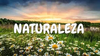 Naturaleza hermosa, paisajes y flores | Landscapes