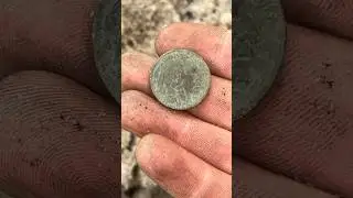 Metal Detecting The Woods!