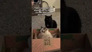 My cats won't sleep in their beds...