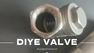 Stainless Steel Y-Type Check Valve &ndash; Reliable Backflow Prevention