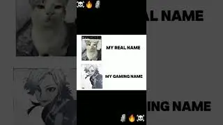 Rich Vibes 💰 | Billionaire Status Song | BGMI Free Fire Status