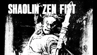 Shaolin Chan (Zen) quan by student of Shaolin Master Zhu Tianxi