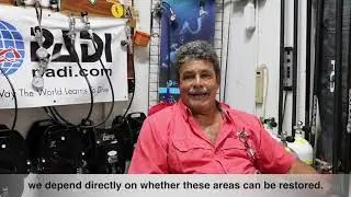 Visit  