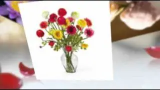 1-800-Flowers Promotion Code
