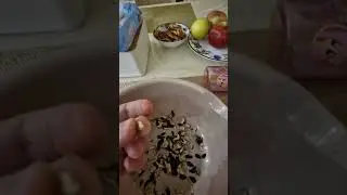 жиза от бати