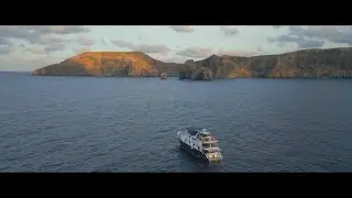 Diving in the Revillagigedo Archipelago - Socorro, San Benedicto, Roca Partida (Mexico) 11.2022