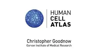 Christopher Goodnow, Analysing rogue clones in the immune system