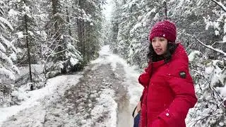 Snowstorm Adventure in Kukagami Northern Ontario Canada
