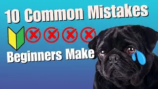 10 Common Mistakes New Dog Owners Make. Are You Guilty?