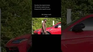 super car makes golddigger be respectful #golddigger #golddiggerprank #moneylife #moneyminded